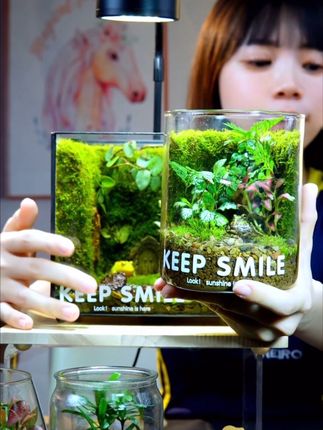 #微景观生态水草缸 #生态缸造景 #植物造景 #植物造景微景观 #玻璃中的大自然