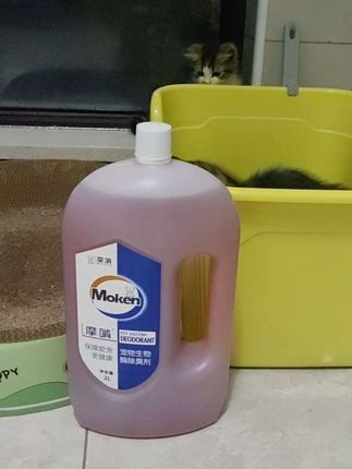 天热养猫家庭容易产生臭味.喷上这个生物酶让家里一点猫味都没有#强烈推荐 #宠物除臭剂 #萌宠好物 #新手养猫#宠物用品