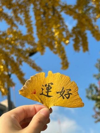 #记录我的生活
