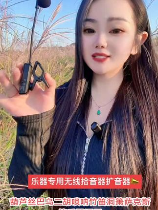 #拾音器 #扩音器 #无线麦克风