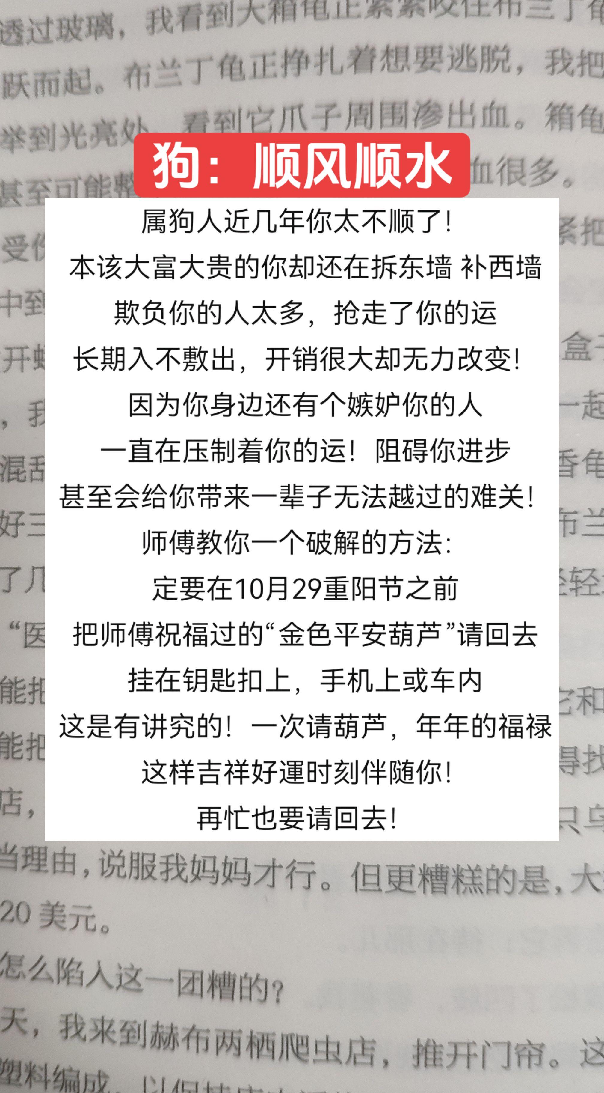 #属狗的 #狗 #属狗的人 #1970年的狗 #1958年的狗