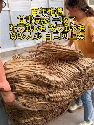 #优质农产品 #抖音助农 #党参