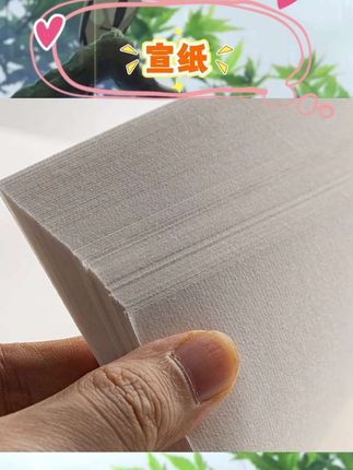 半生半熟/生宣/熟宣适配不同技法。多尺寸规格适配多样场景。工笔画与毛笔字练习适用。小学生书法练习好选择。细腻纸质助力作品呈现。#书法专用纸 #国画宣纸 #毛笔字练习 #小学生书法