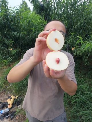 又脆又甜的白桃!