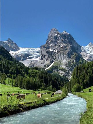 #秋日鞋包氛围感拿捏了 #跟着抖音学穿搭 #好好看#女神必备#水晶