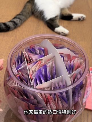 喵铮铮桶装鲜肉猫条,主食级别,到手160 支,这个大桶可以当圆凳坐!#喵铮铮猫条 #鲜肉猫条 #养猫好物 #主食猫条