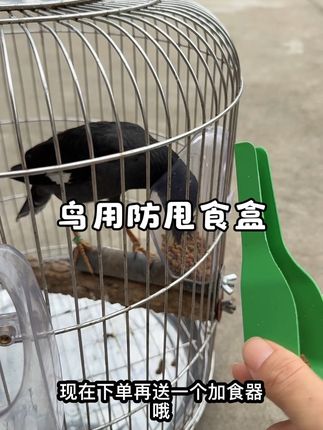 #好物分享#鸟用防甩食盒#鸟食盒#鸟用防溅食盒 #鸟用防撒食盒