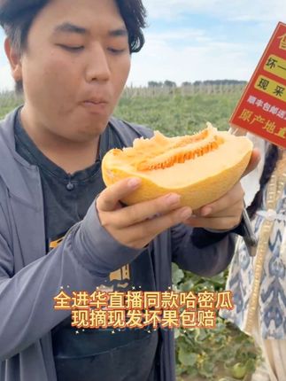 华仔推荐新疆哈密瓜现摘现发坏果包赔#全进华#哈密瓜#应季水果 #现摘现发新鲜到家 #快来一起尝个鲜