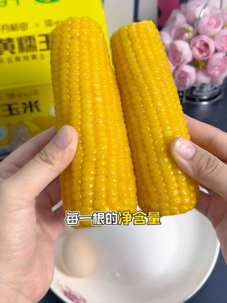 等了一年#十月稻田黄糯玉米 又来啦,你们可千万不要错过#软糯香甜 真的好好吃#黄糯玉米