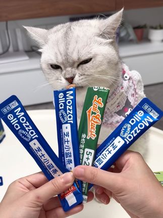 猎奇主食猫条大破价啦!轻松让猫猫实现猫条自由#猎奇猫条 #猫条 #主食猫条#猎奇小蓝条 #猎奇芝士猫条