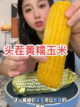 东北头茬黄糯玉米大大羊毛 又甜又糯 好吃又便宜 大羊毛赶紧薅#东北甜糯玉米 #黄糯玉米 #头茬玉米