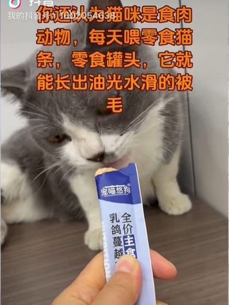 #猫咪话题 你还认为猫咪是食肉动物,只要吃零食猫条零食罐头就可以发腮补充营养么