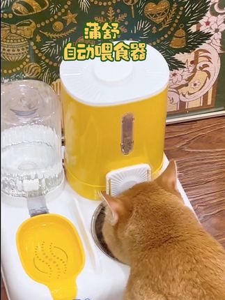 自动喂食器 #萌宠好物 #喂食器 #自动喂食器 #科学养宠攻略 #金渐层