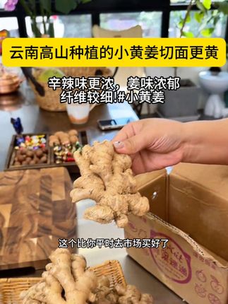 很饱满,里面肉质新鲜紧实,姜汁充沛浓郁,平时煮面、炒菜、炖肉、煲汤、去腥味,厨房里面必不可少的一个调味品,现在价格是最划算的,年底的价格能翻个三四倍,还不定有货#云南山地小黄姜 #生姜 #鲜姜