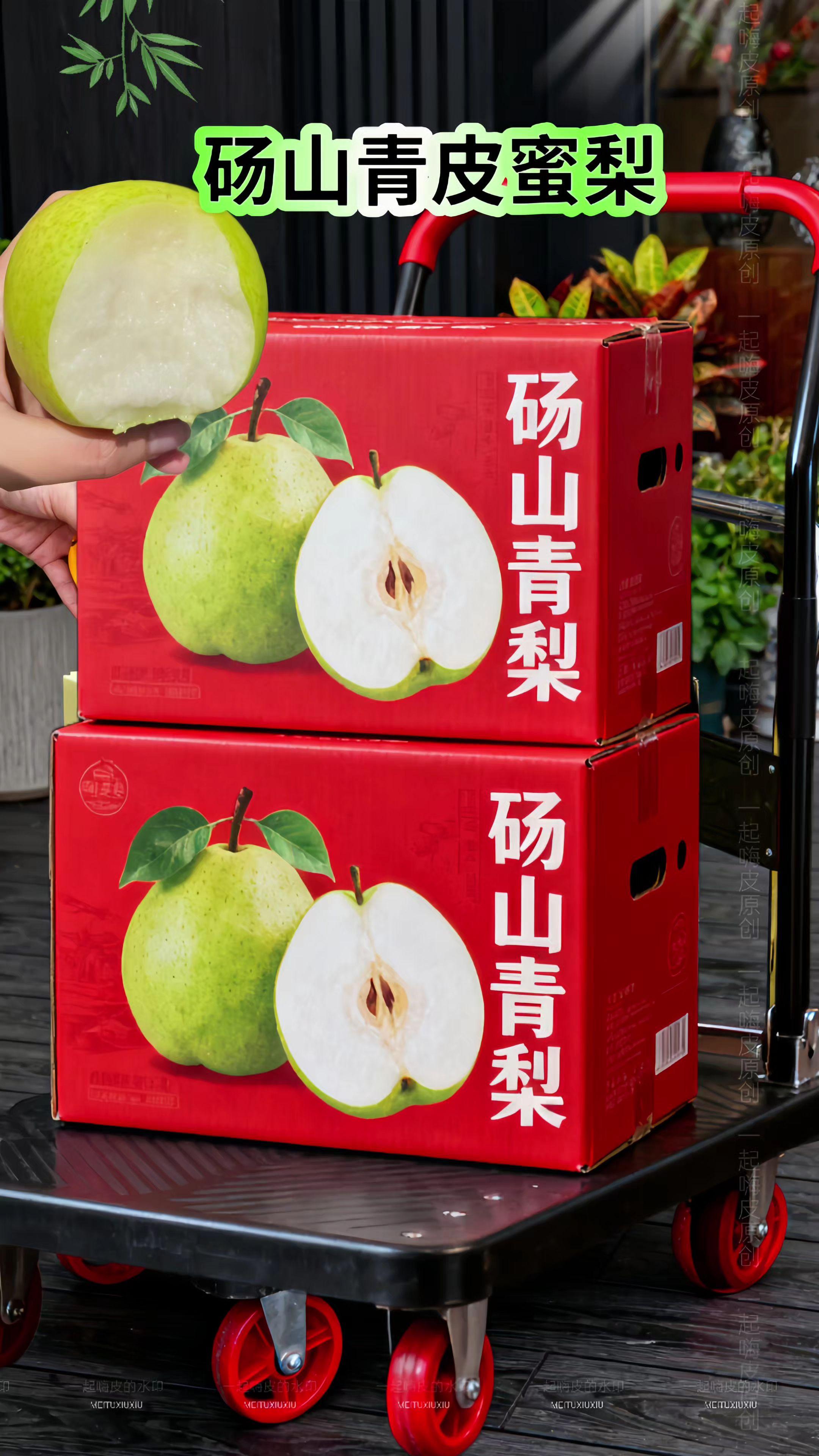 🍐砀山青皮蜜梨,脆甜多汁一口沦陷!果肉雪白细腻,咬一口汁水在舌尖炸开,秋日润燥就靠它,快把这份来自砀山的清甜带回家吧!#砀山青皮蜜梨 #脆甜多汁 #大人小孩都爱吃 #爆汁 #口感好