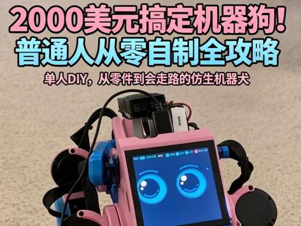 2000美元搞定机器狗!普通人从零自制全攻略 #科技#AI #机器人 #机器狗 #具身智能