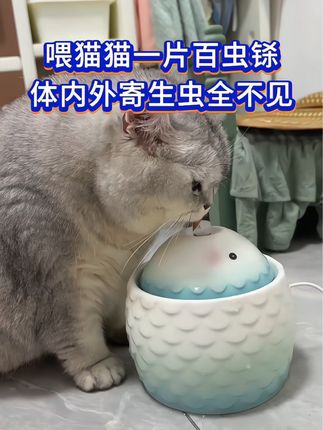 #科学养宠攻略 #宠物知识 #萌宠出道计划 #猫咪 #萌宠推荐官