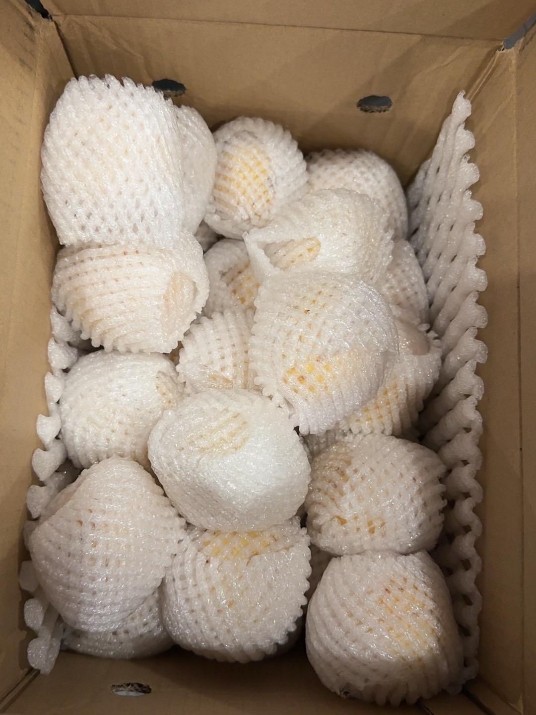 新鲜度:很新鲜 包装品质:很完美 口感味道:清甜多汁,脆 性价比:推荐,推荐 商品分量:扎实 包装是真的好,吃了好吃,脆甜。#我在抖音买买买