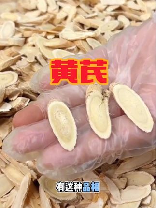 #源头好货 #新农人计划 甘肃岷县老黄芪大片原产地新货泡水当归枸杞煲汤正宗精选#助农 #家乡特色 #好物推荐🔥