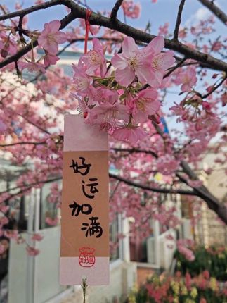 成人隔尿垫防水可洗老年人纯棉超大号床垫寝室透气尿不湿护理床垫#隔尿垫 #老人隔尿垫 #老人隔尿垫防水防漏 #老人隔尿垫可洗 #老人护理隔尿垫