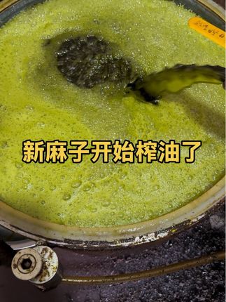 新麻子榨的油味道就是浓,天冷了烙饼油炸太好吃了