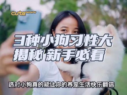 3种小狗习性大揭秘 | 新手必看#萌宠出道计划 #狗狗 #创作者扶持计划