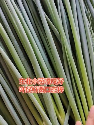 #东北小嫩葱#小葱拌豆腐#小葱蘸酱