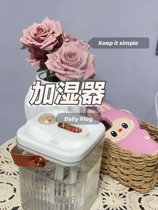 超级方便的加湿器 价格实惠#好物推荐🔥 #提升幸福感好物 #家居好物 #种草 #实用又美观