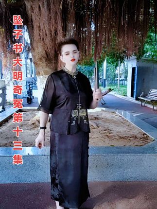 书接上回。坠子书大明奇冤。第十三集。