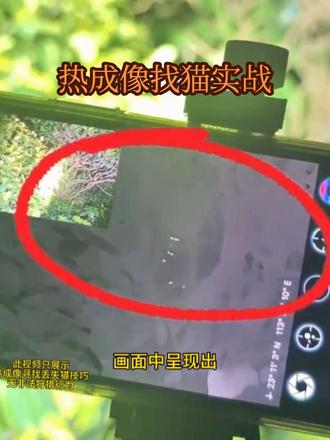 猫丢了怎么找?之热成像 猫咪丢失热成像找猫和手电的差别,可能这就是你们没有找到猫的原因。#猫丢了 #找猫方法 #猫丢了怎么办 #上热门