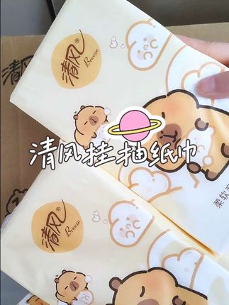 到手整整一大箱10提#清风挂抽纸 还是和卡皮巴拉联名款,纸巾柔软细腻,遇水不易破 ,一提可以用好久,#清风 大品牌赶紧囤#抽纸 #悬挂抽纸 #家庭生活用品