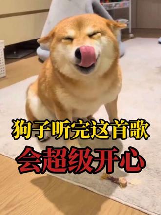 狗狗歌,狗子听完后会开心的跳起来#狗狗 #狗子成精了 #萌宠出道计划 #科学养宠攻略 #养狗经验分享