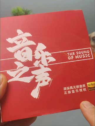 2025新款DJ无损环绕高品质网红新歌汽车U盘经典老歌车载音乐U盘