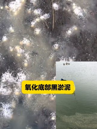 #鱼虾蟹养殖 #生物改底 #鱼耀 #粪硫菌 #特种鱼养殖