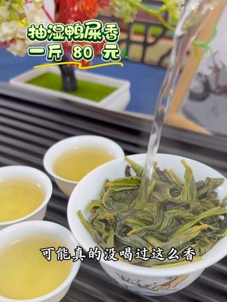 绿衣仙子 凤凰单丛 抽湿鸭屎香新工艺 鲜叶的活力和自然的花香#凤凰单丛 #鸭屎香 #抽湿鸭屎香 #凤凰单枞茶