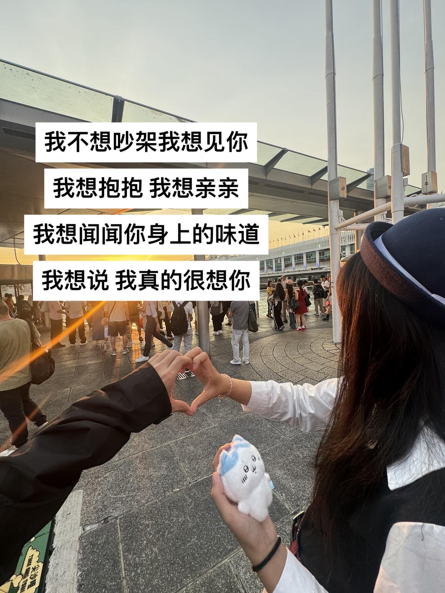 我不想吵架 我想见你 我想抱抱 我想亲亲 我想闻闻你身上的味道 我想说 我真的很想你.