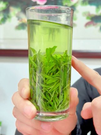 信阳毛尖2025 口粮茶 三秒回甘,鲜爽耐泡 手工传统工艺1号#茶 #茶叶 #茶生活 #茶文化 #信阳毛尖