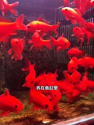 不要和妈妈顶嘴,没有妈妈哪来的家 #家长教育 #妈妈的世界很小里面装满了你 #家庭教育 #正确引导教育孩子陪伴孩子 #育儿教育