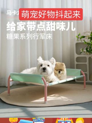 BLOBLO/啵拉啵拉行军床防掉离地透气猫狗窝可拆洗四季通用防潮#好物推荐 #萌宠好物 #萌宠出道 #好东西一起分享
