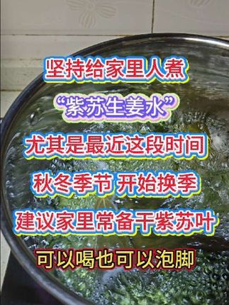 秋冬换季气候不定,特别家里有小孩的,建议备点紫苏叶,暖暖的很省心。#紫苏 #家长必读 #育儿 #分享生活小技巧 #韩明辰