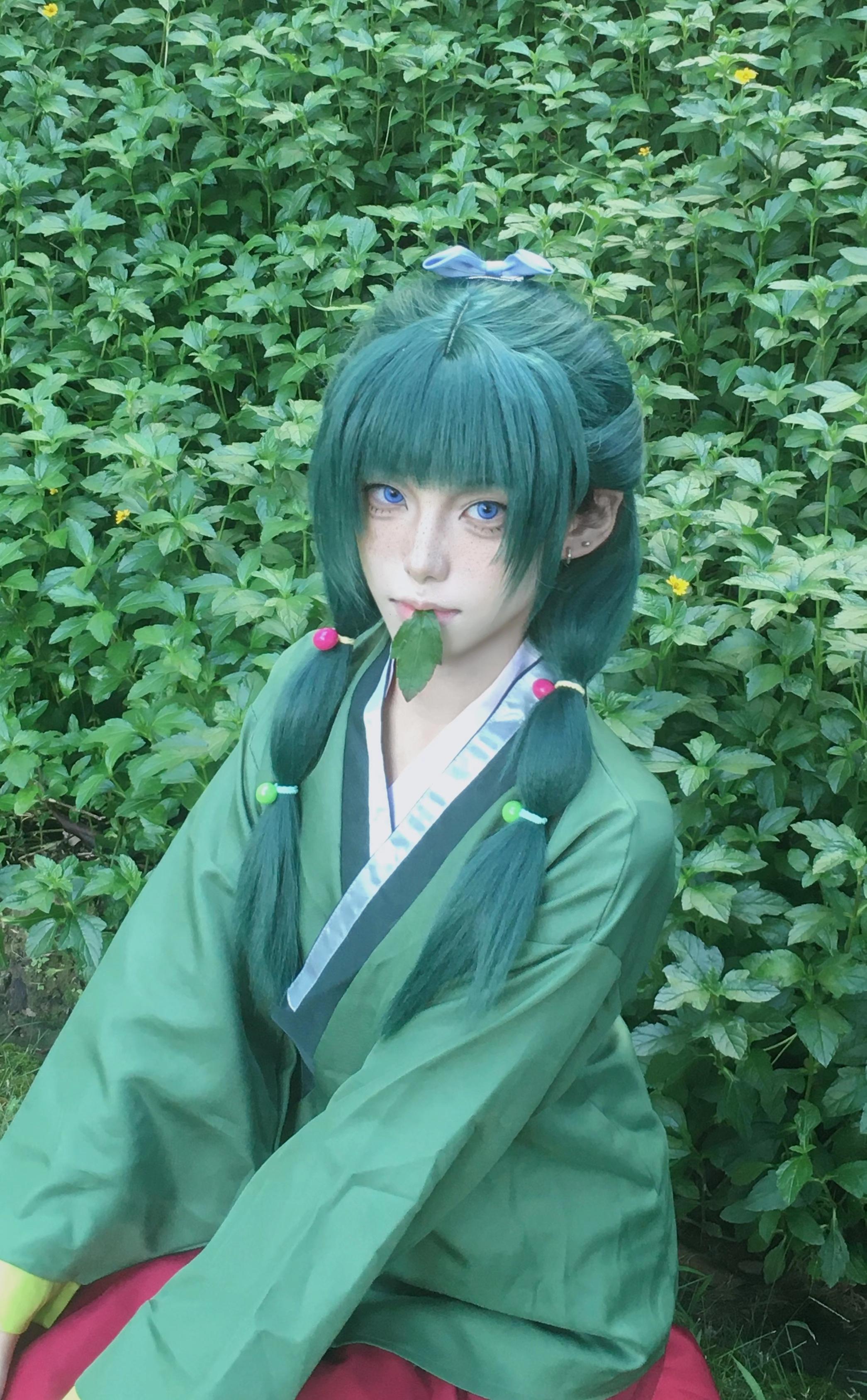 神猫尝百草。#药屋少女的呢喃 #药屋少女的呢喃猫猫 #猫猫
