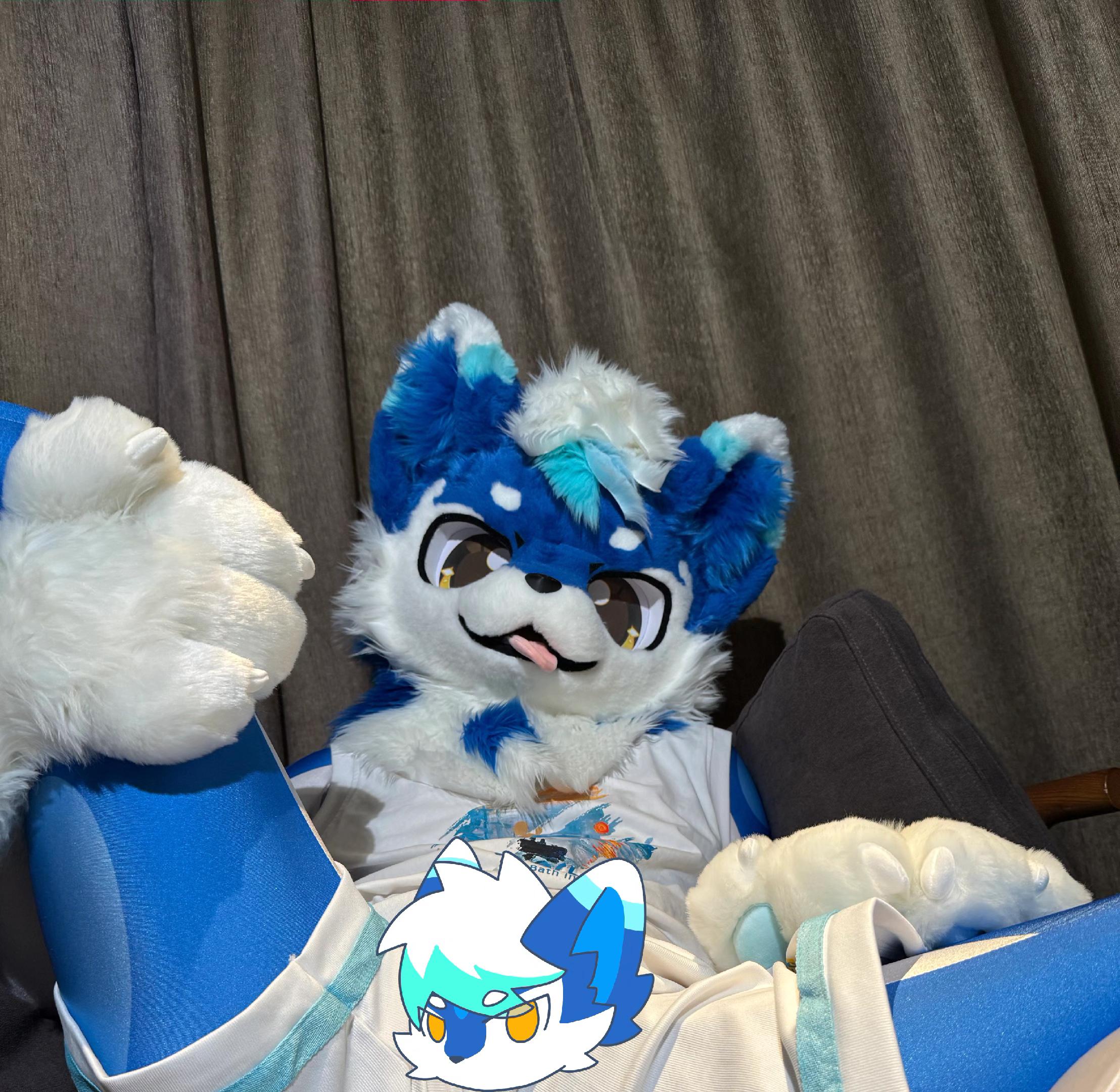 没点实力,主动战败你也没一点办法。📷@洛竹𝕠𝕨𝕠 #兽装 #fursuit兽装 #furry