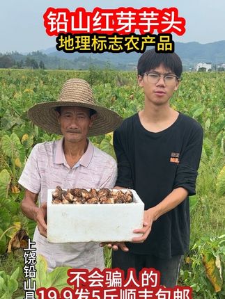 铅山红芽芋粉粉糯糯的红芽芋!产地新鲜发,不麻口不塞牙!家常必备拍就完事红芽芋头开团!粉!糯!香!蒸炒炖煮样样行!