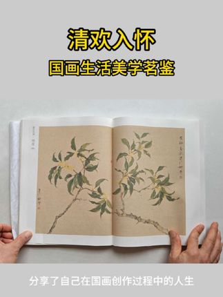 好书分享《清欢入怀 国画生活美学茗鉴》#国画 #好书推荐 #绘画教程 #技法 #好书分享