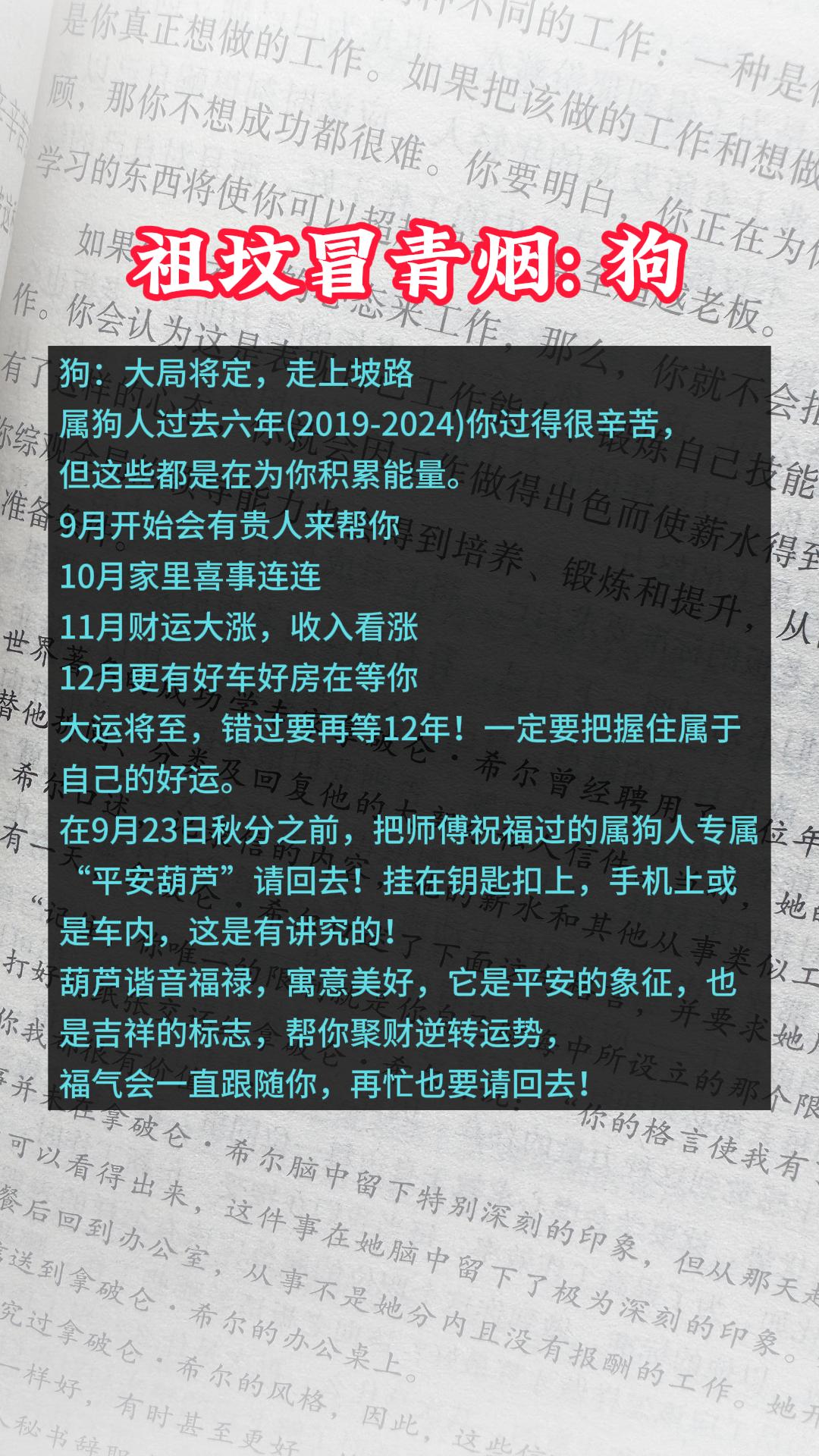 #狗