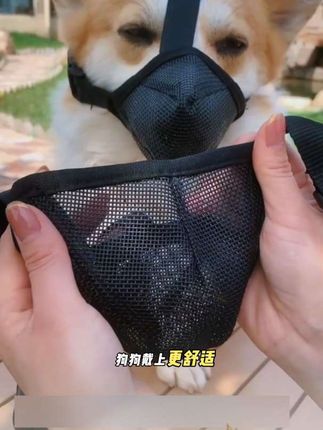 #狗狗嘴套#宠物#萌宠 #狗狗是生活的解药 #狗狗的心思都写在脸上了@DOU+小助手 @抖➕小助理