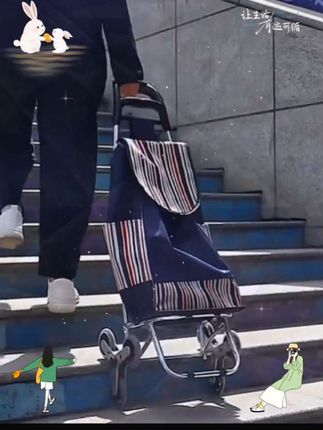 便携购物车爬楼折叠小拉车买菜手拉车拖车家用小推车拉杆车行李车#便携购物车 #折叠小推车 #家用手拉车
