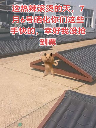 足球票都抢到了吗,我没有,我继续挣我的窝囊费了🥳🥳我生产候车亭的厂家,厂房在#宿迁 #候车亭厂家 #苏超联赛 #抢票