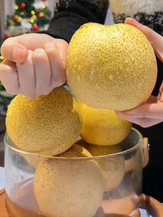 今年种的,砀山酥梨,已经成熟了。喜欢吃的朋友,快来尝一尝吧#新鲜采摘 #砀山酥梨#农家种植#酥梨#优质农产品