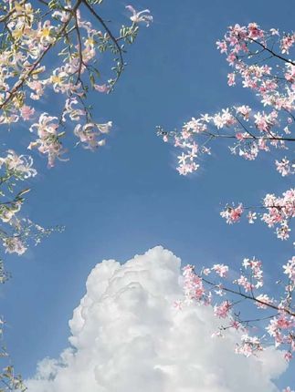 #杜克和一哥 #杜克环游世界 #孟加拉的故事 #交换世界计划